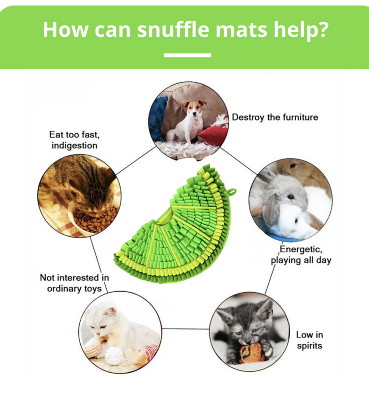 PawzNDogz PawzNDogz - Snuffle Mat - Zesty Lime