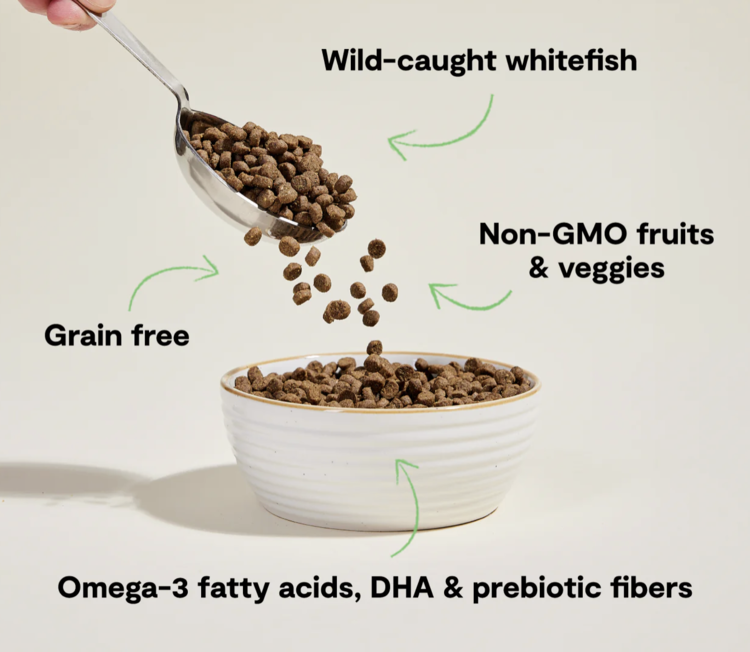 Open Farm Open Farm - CAT - Whitefish