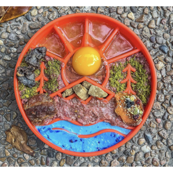 SodaPup SodaPup - Slow Feeder - Great Outdoors - Orange