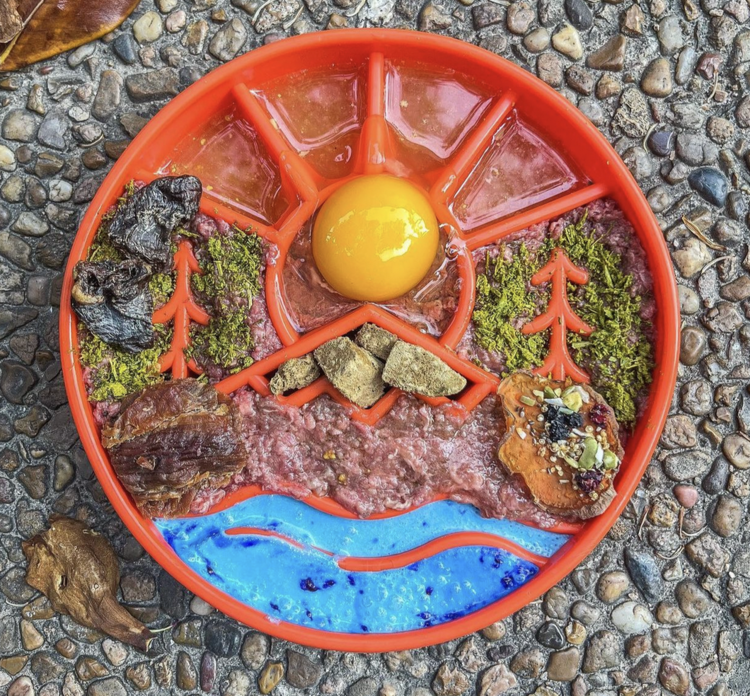 SodaPup SodaPup - Slow Feeder - Great Outdoors - Orange