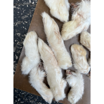 Proper K9 Proper K9 - Rabbit Foot - 1pc