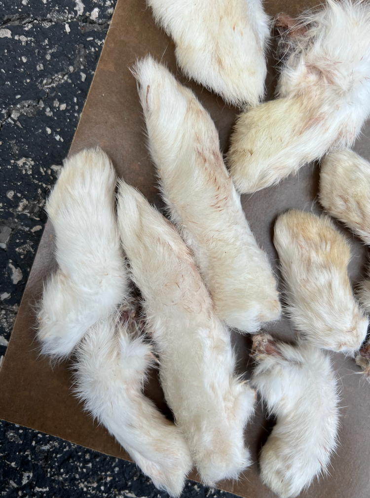 Proper K9 Proper K9 - Rabbit Foot - 1pc