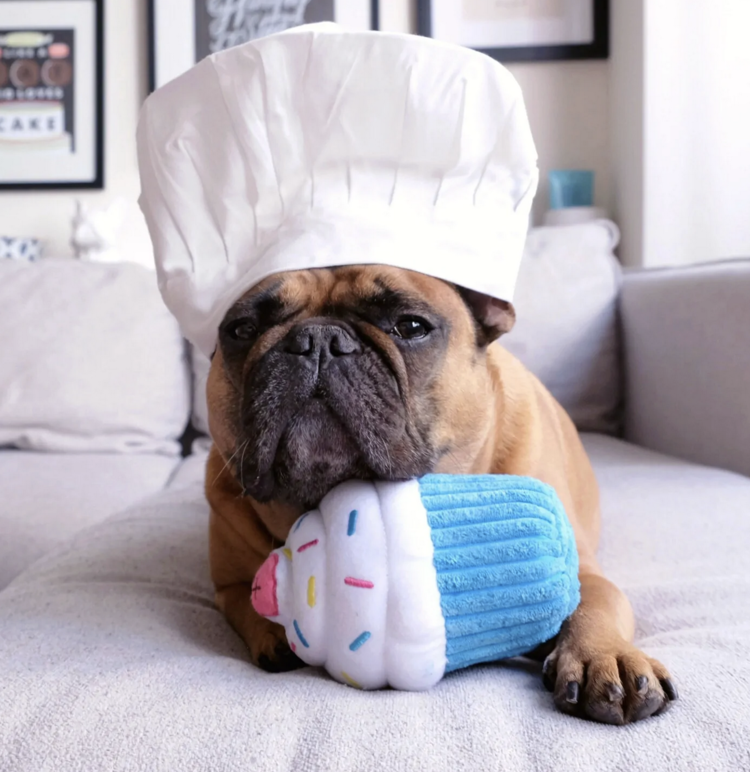 Zippy Paws Zippy Paws - Cupcake - Blue