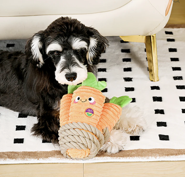 Hugsmart Hugsmart - Rope Funz - Carrot