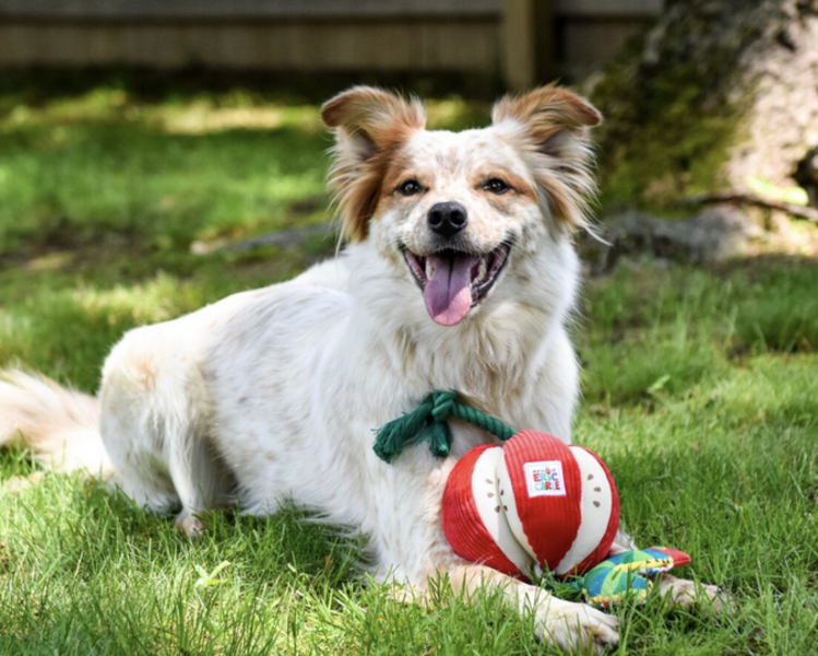 Multipet MultiPet - Hungry Caterpillar - Apple