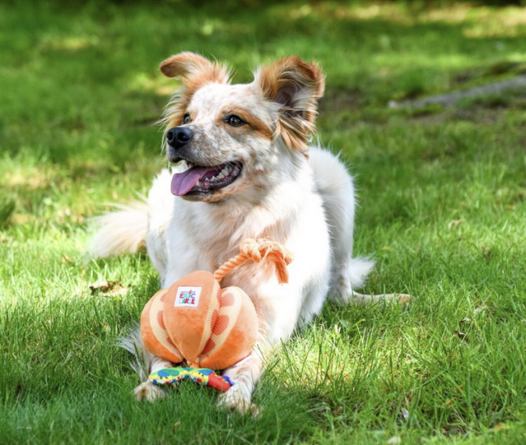 Multipet MultiPet - Hungry Caterpillar - Orange
