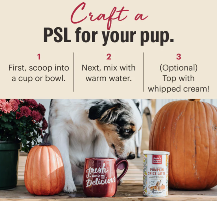 Honest Kitchen Honest Kitchen - Pumpkin Spice Latte - 4oz