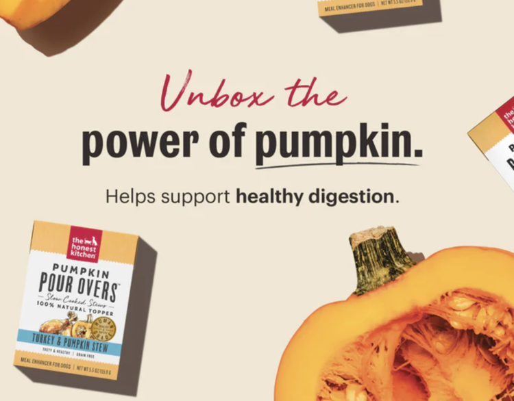 Honest Kitchen Honest Kitchen - Pour Overs - Salmon & Pumpkin Stew - 5.5oz