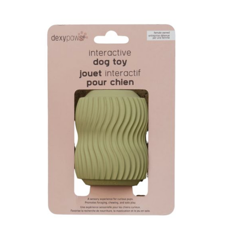 Dexy Paws Dexy Paws - Teething Chew Toy - Jade
