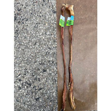 Nature's Own Nature's Own - Steer Bully Cane - 18-24"