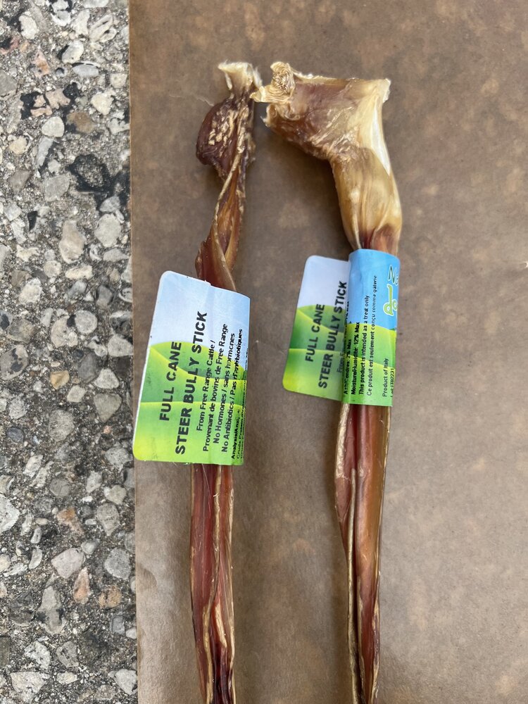 Nature's Own Nature's Own - Steer Bully Cane - 18-24"