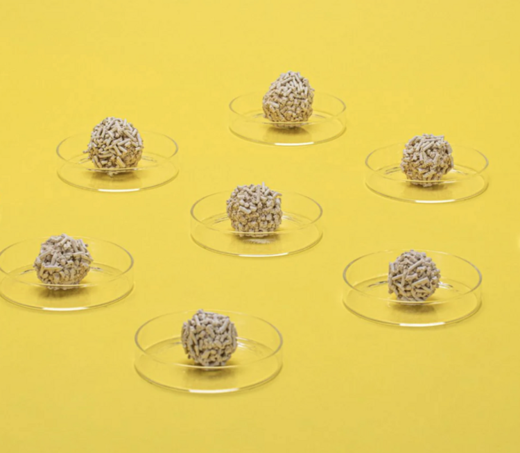 Dofu Cat Dofu Cat - Tofu Litter