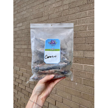 Crazy Dog Dehydrated Treats Crazy Dog - Frozen Capelin - 1lb