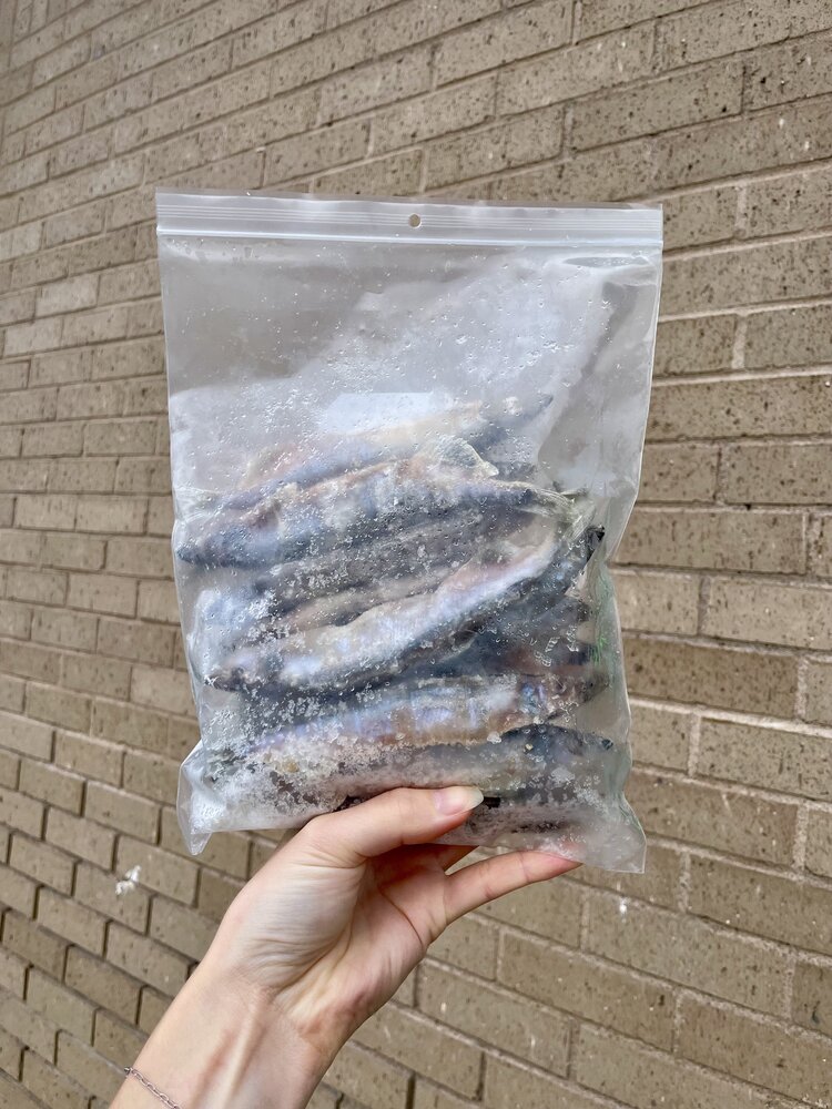 Crazy Dog Dehydrated Treats Crazy Dog - Frozen Capelin - 1lb
