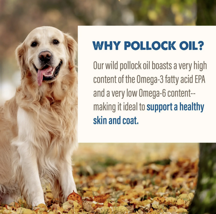 Grizzly Pet Grizzly Pet - Pollock Oil -16oz