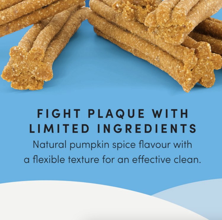 Crumps' Naturals Crumps - Plaque Busters - Pumpkin Spice