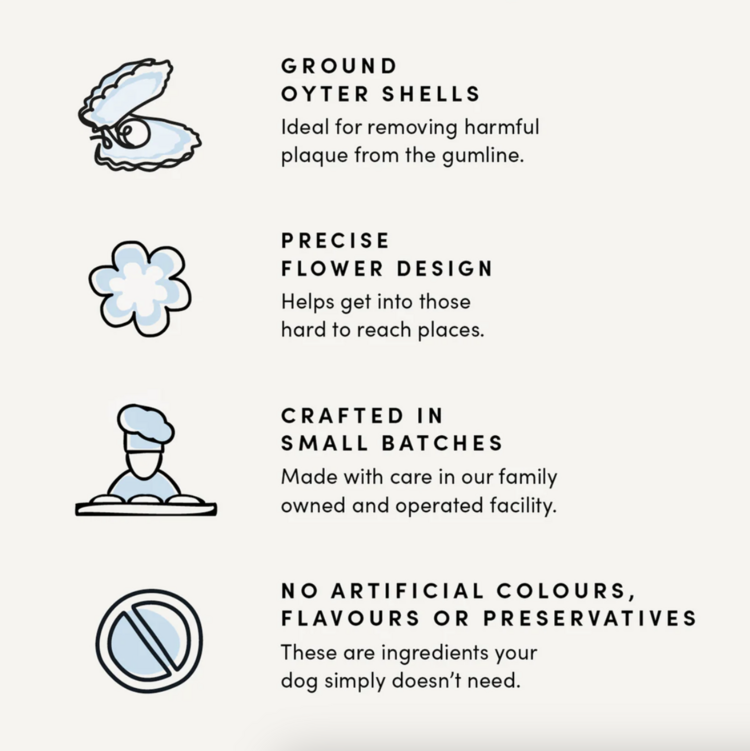 Crumps' Naturals Crumps - Plaque Busters - Pumpkin Spice