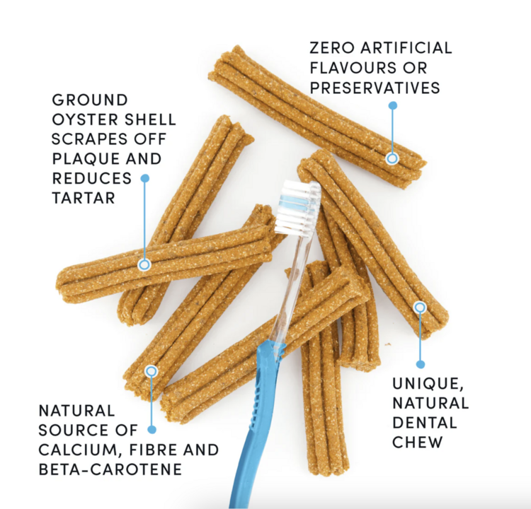 Crumps' Naturals Crumps - Plaque Busters - Pumpkin Spice