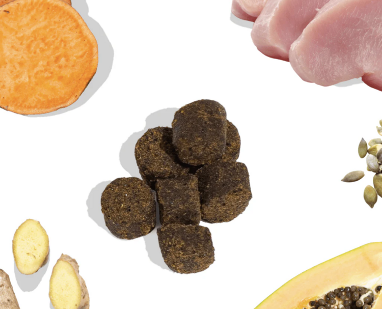 Healthy Bud Healthy Bud - Gut Booster (Turkey)