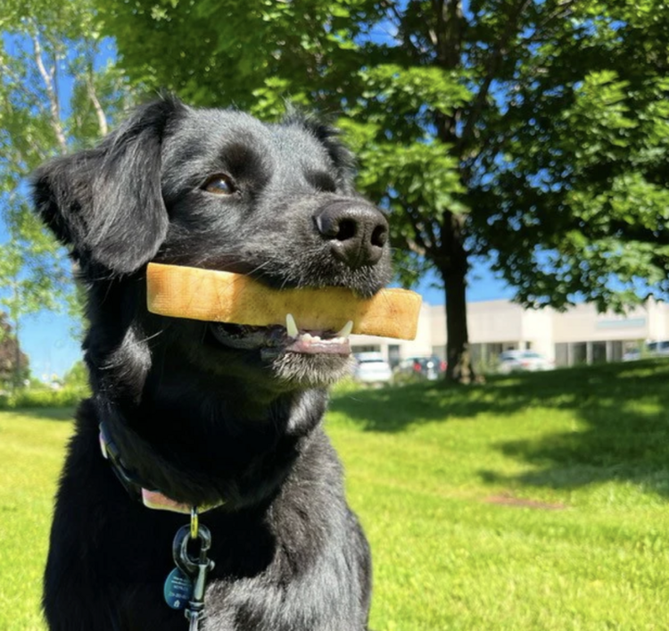 Blends for Life Blends For Life - Yak Milk - Gingerbread