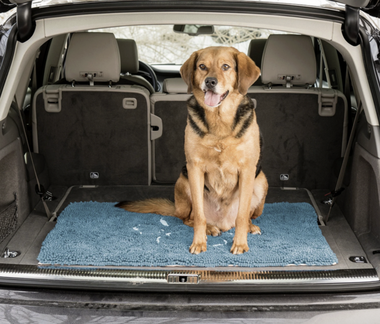 Dog Gone Smart Dirty Dog Doormat - Pacific Blue