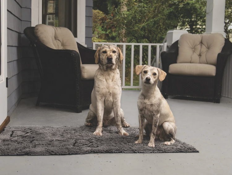 Dog Gone Smart Dirty Dog Doormat - Grey