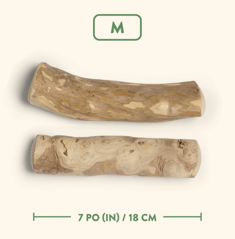 Dentler Dentler - Java Wood