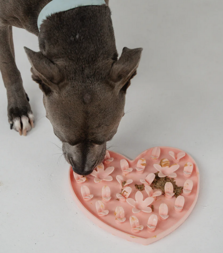 Dexy Paws Dexy Paws - Snuffle Mat - Pink Heart