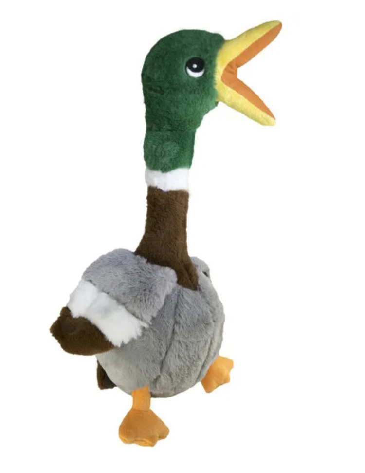 Kong Kong - Shakers Honkers - Duck