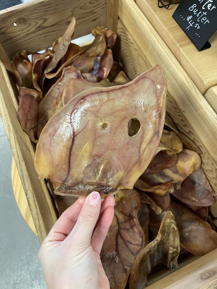 Nature's Own Nature's Own - Pig Ear - Large - 1pc