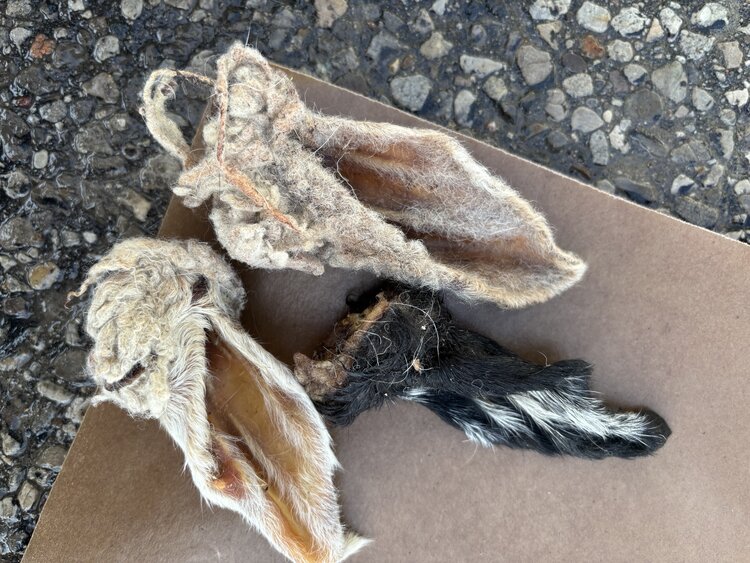 Proper K9 Proper K9 - Lamb Ear w/Fur - 1pc
