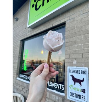 CHEWS CHEWS - Valentine's Rose Pupsicle