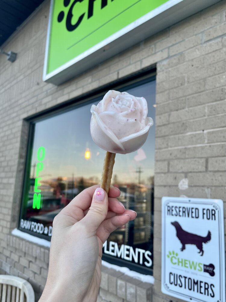 CHEWS CHEWS - Valentine's Rose Pupsicle