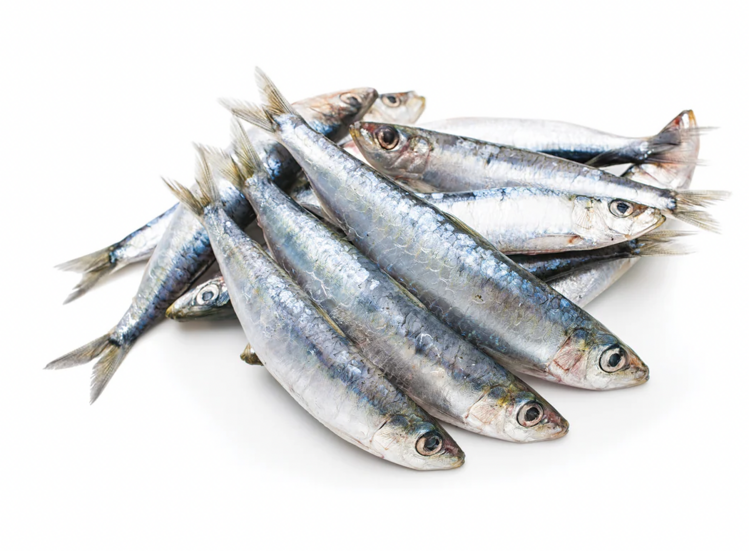 Iron Will Raw Iron Will Raw - Sardines - 1lb