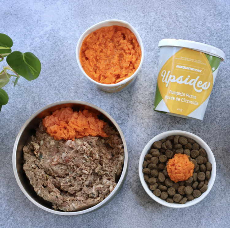 Big Country Raw BCR - Upsides - Pumpkin Puree - 454g