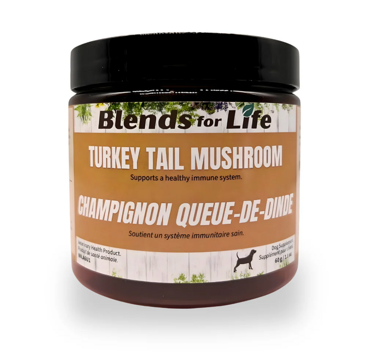 Blends for Life Blends For Life - Turkey Tail Mushroom - 60g