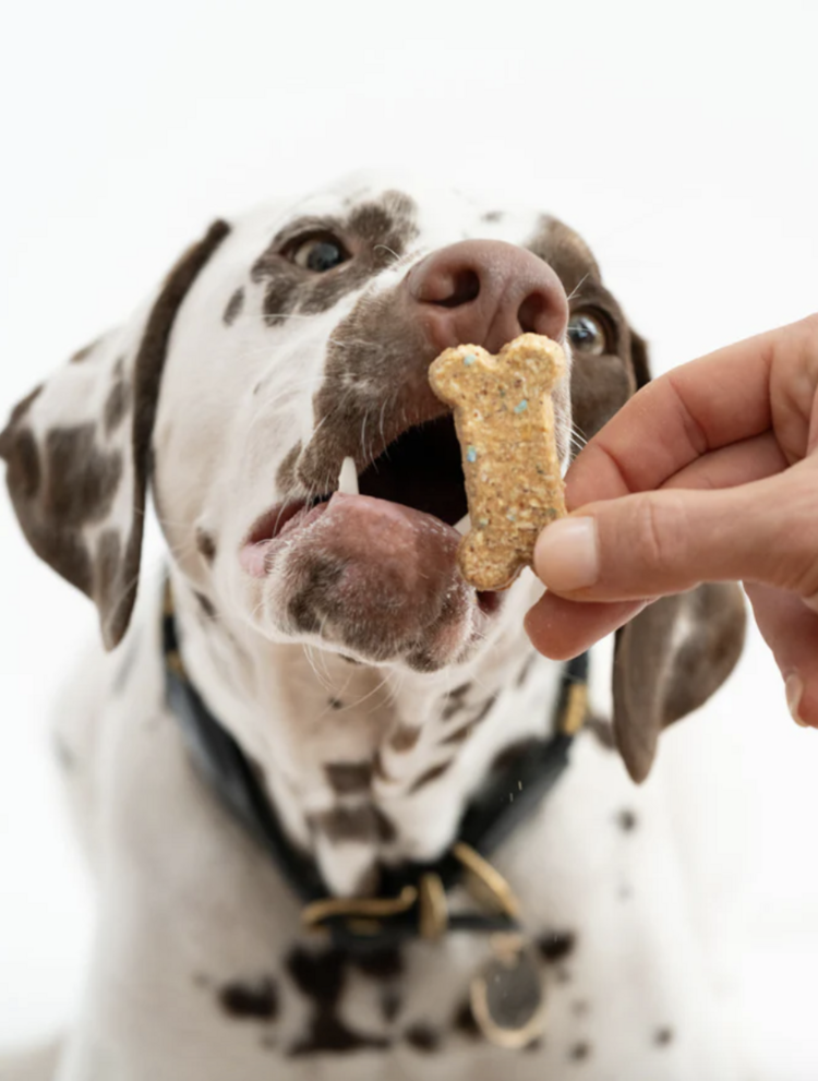 Winnie Lou Winnie Lou - Celebration Cookies - 4oz