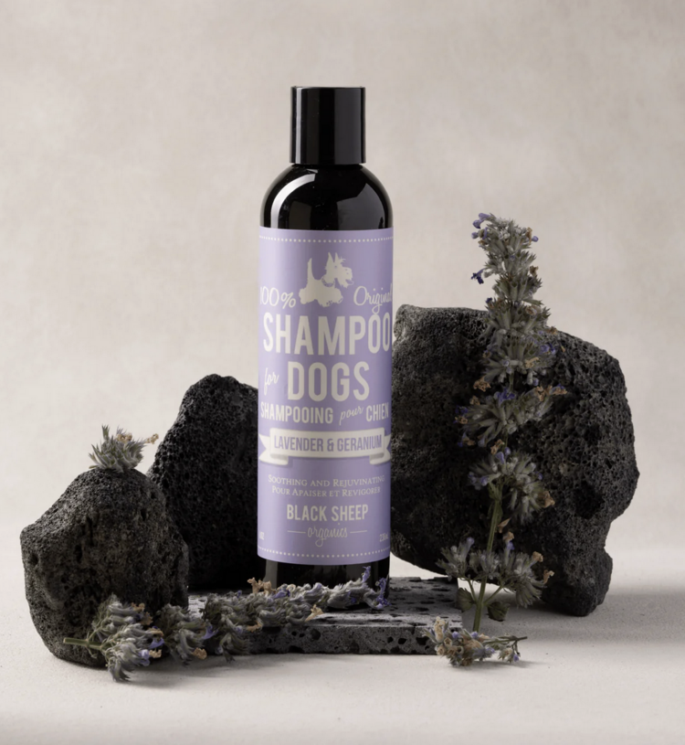 Black Sheep Organics Black Sheep - Organic Shampoo - Lavender & Geranium - 8oz