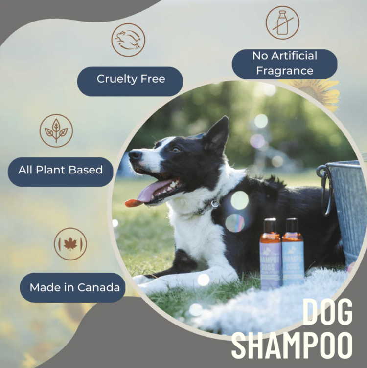 Black Sheep Organics Black Sheep - Organic Shampoo - Lavender & Geranium - 8oz