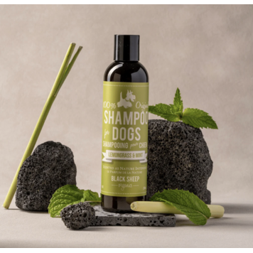 Black Sheep Organics Black Sheep - Organic Shampoo - Lemongrass & Mint - 8oz