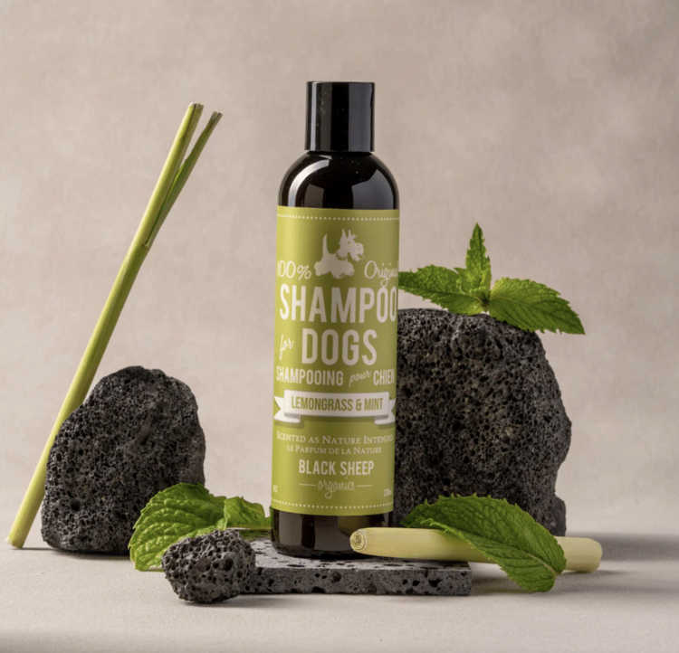 Black Sheep Organics Black Sheep - Organic Shampoo - Lemongrass & Mint - 8oz