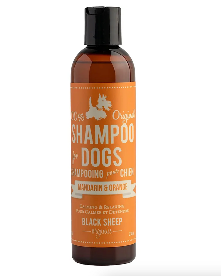 Black Sheep Organics Black Sheep -  Organic Shampoo - Mandarin & Orange - 8oz