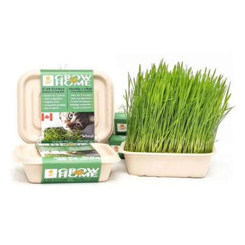 Fog Farms Fog Farms - Grass Kit - Wheatgrass - 200g