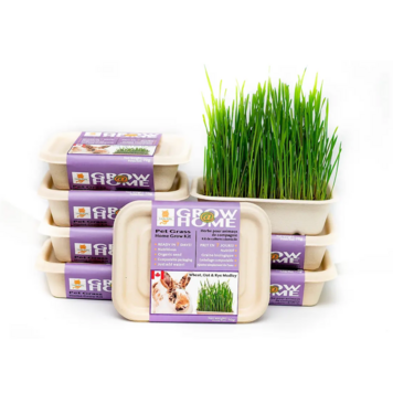 Fog Farms Fog Farms - Grass Medley Kit - 200g