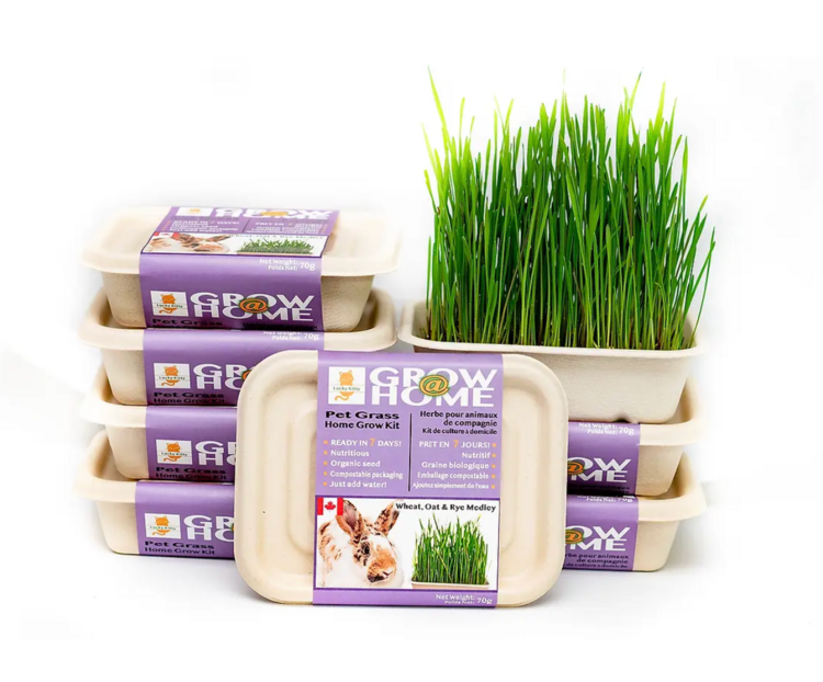 Fog Farms Fog Farms - Grass Medley Kit - 200g