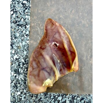 Nature's Own Nature's Own - Pig Ear - Large - 1pc