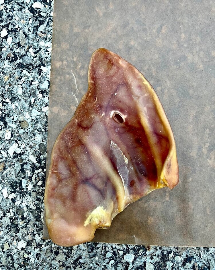 Nature's Own Nature's Own - Pig Ear - Large - 1pc