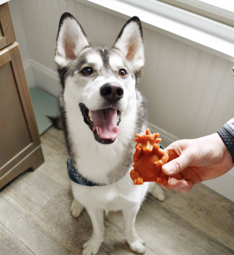 Whimzees Whimzee - Hedgehog - 1pc