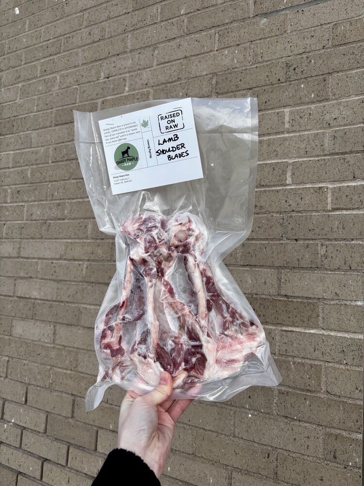 Shady Maple Raw Shady Maple - Lamb Shoulder Blades - 3pk