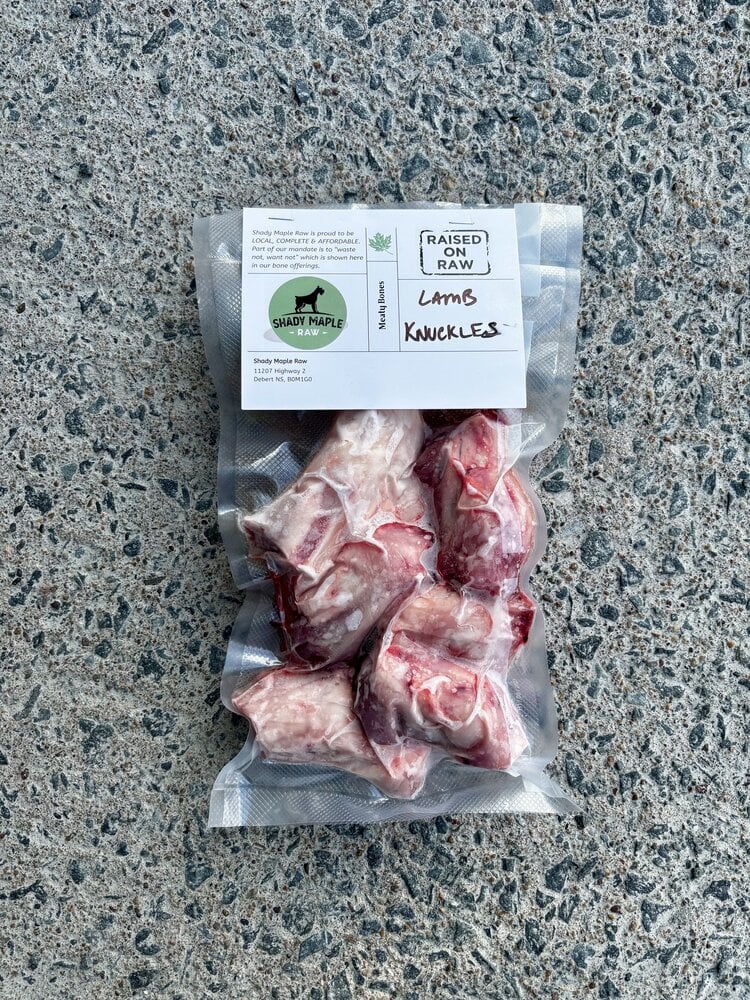 Shady Maple Raw Shady Maple - Lamb Knuckles - 6pk